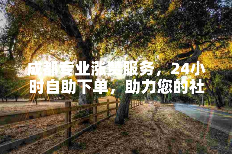 成都专业涨赞服务，24小时自助下单，助力您的社交媒体影响力快速提升。