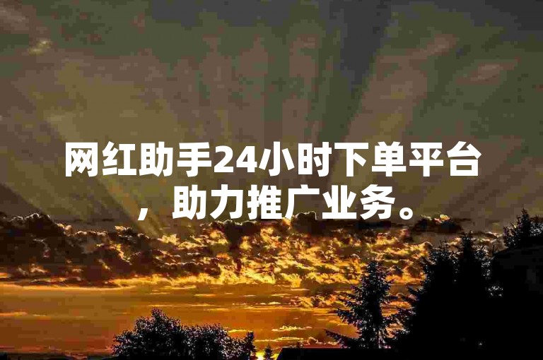 网红助手24小时下单平台，助力推广业务。