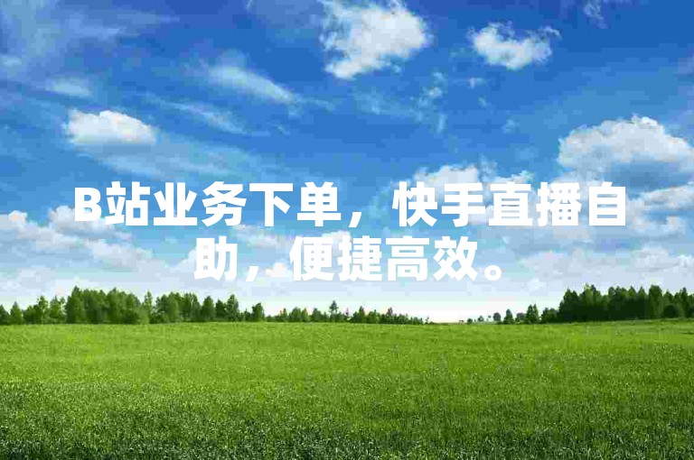 B站业务下单，快手直播自助，便捷高效。