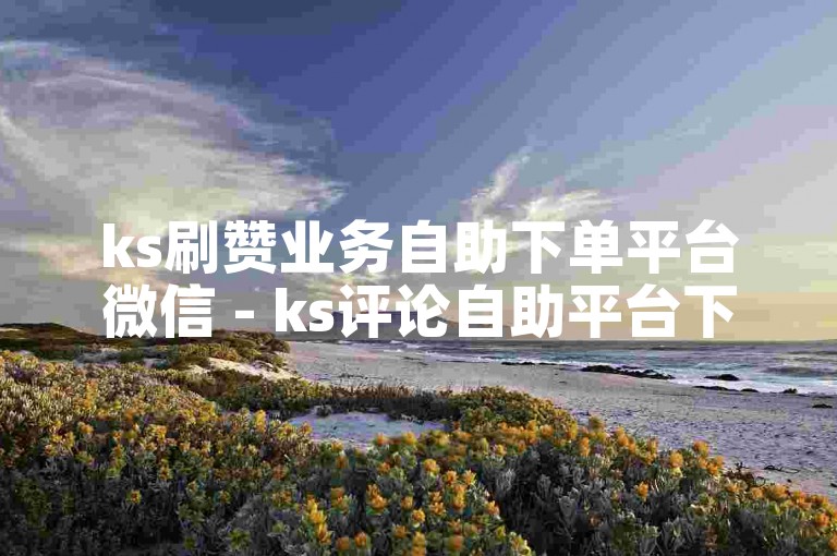 ks刷赞业务自助下单平台微信 - ks评论自助平台下单网站