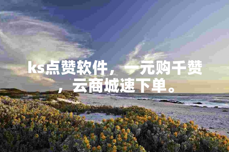 ks点赞软件，一元购千赞，云商城速下单。