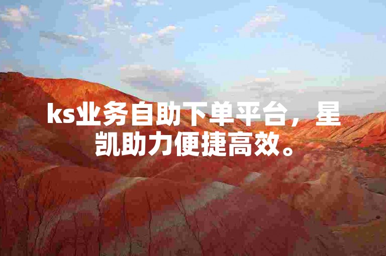ks业务自助下单平台，星凯助力便捷高效。