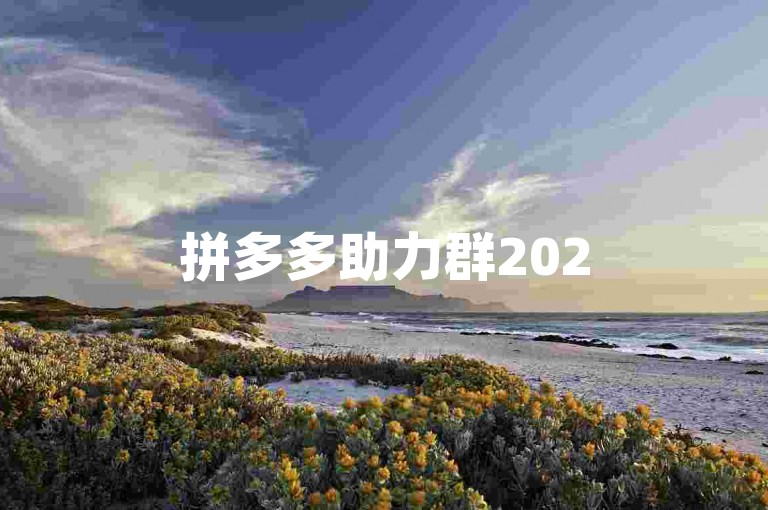拼多多助力群2025，优惠多多等你来享！