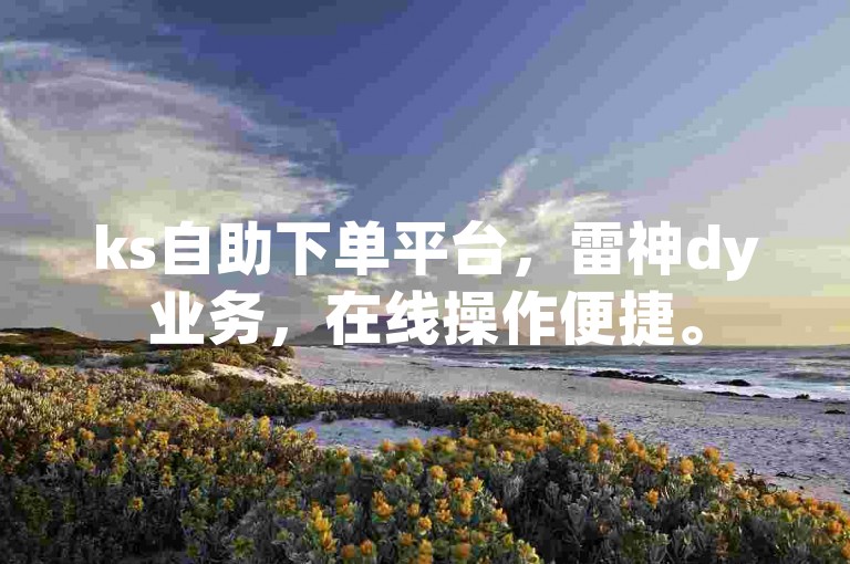 ks自助下单平台，雷神dy业务，在线操作便捷。
