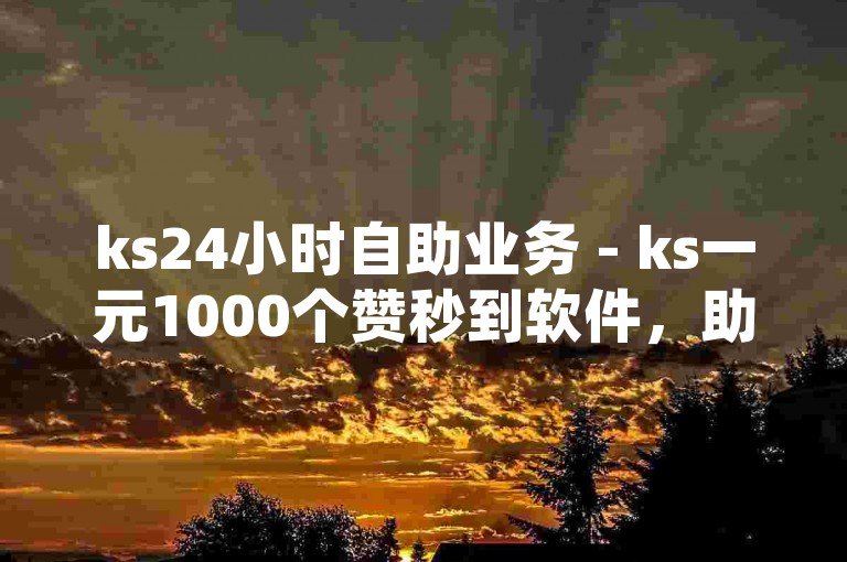 ks24小时自助业务 - ks一元1000个赞秒到软件，助力网络热度提升。
