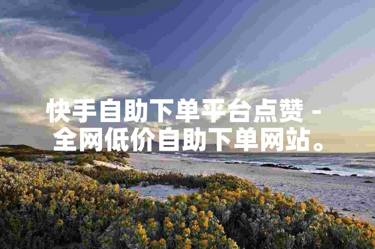 快手自助下单平台点赞 - 全网低价自助下单网站。