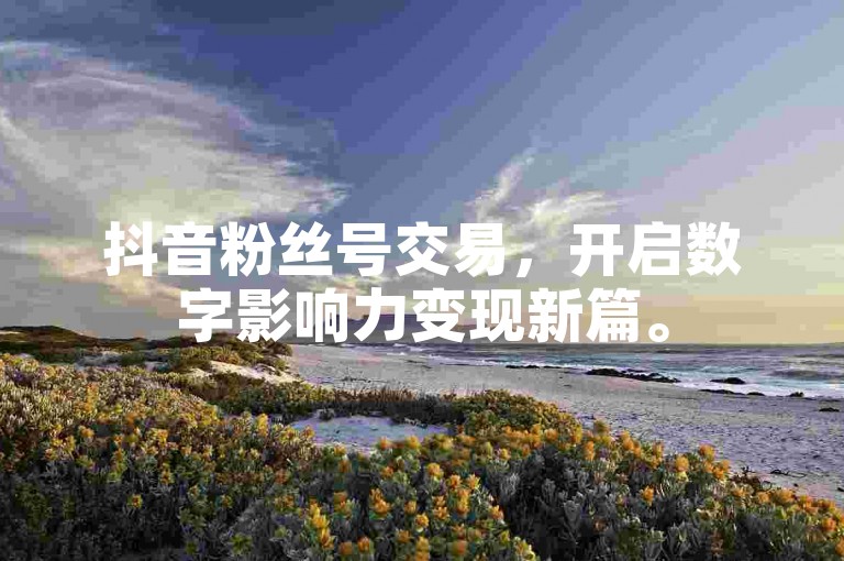 抖音粉丝号交易，开启数字影响力变现新篇。