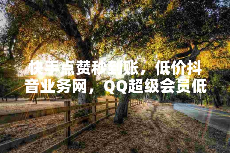 快手点赞秒到账，低价抖音业务网，QQ超级会员低价网站。
