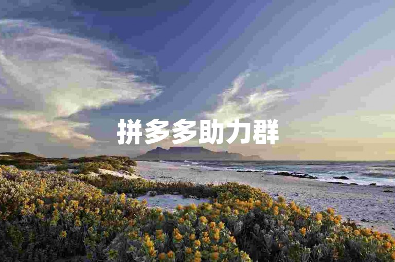 拼多多助力群500人，真实用户互帮互助。