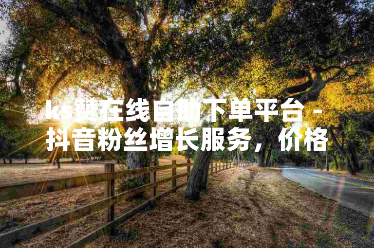 ks赞在线自助下单平台 - 抖音粉丝增长服务，价格实惠。