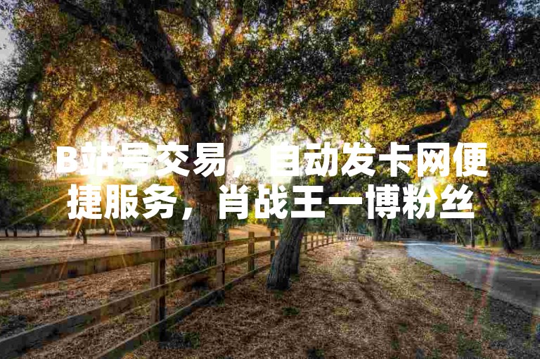 B站号交易，自动发卡网便捷服务，肖战王一博粉丝速来。