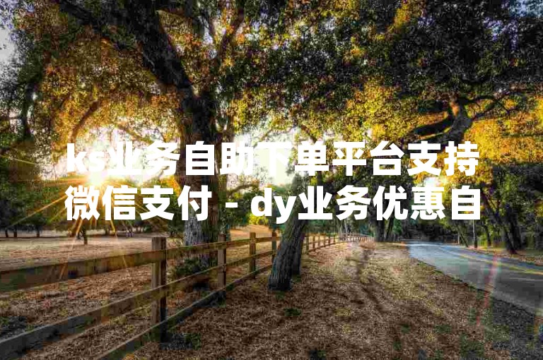 ks业务自助下单平台支持微信支付 - dy业务优惠自助下单平台网站。