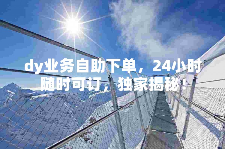 dy业务自助下单，24小时随时可订，独家揭秘！