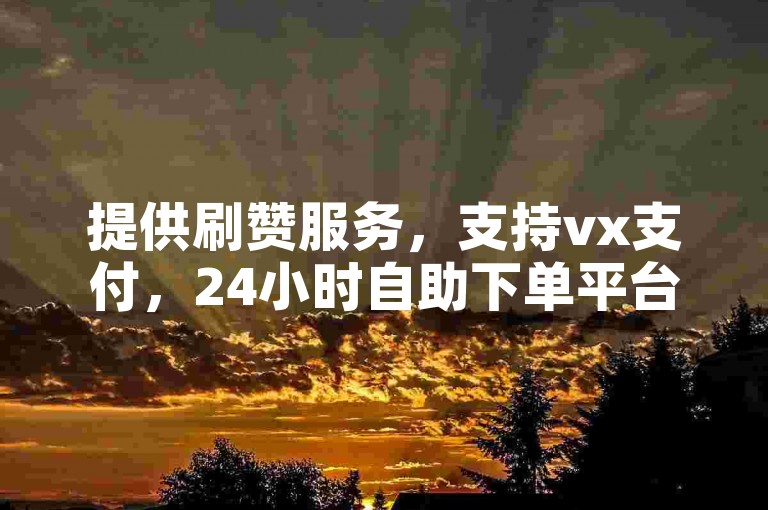 提供刷赞服务，支持vx支付，24小时自助下单平台。
