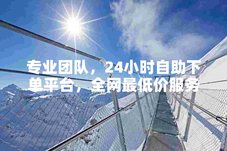 专业团队，24小时自助下单平台，全网最低价服务。
