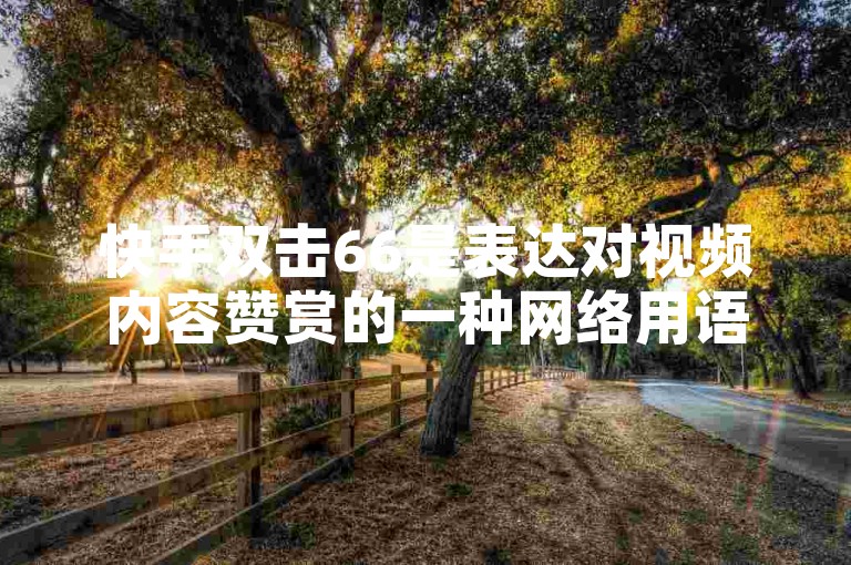 快手双击66是表达对视频内容赞赏的一种网络用语。
