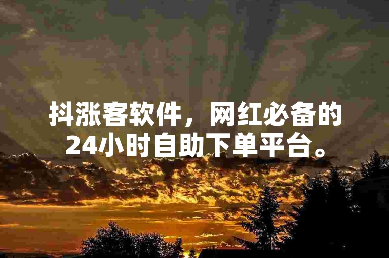 抖涨客软件，网红必备的24小时自助下单平台。