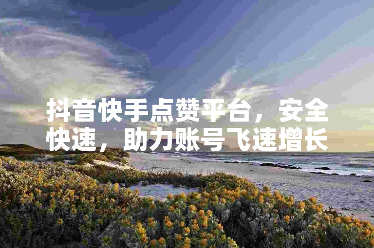 抖音快手点赞平台，安全快速，助力账号飞速增长。