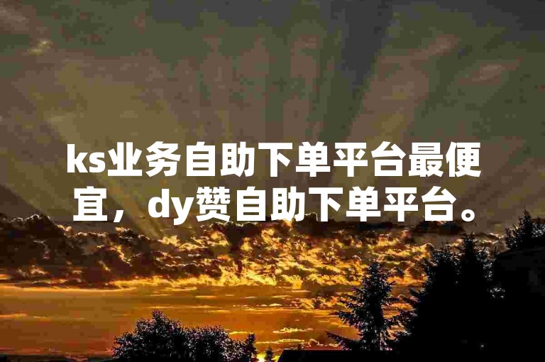 ks业务自助下单平台最便宜，dy赞自助下单平台。