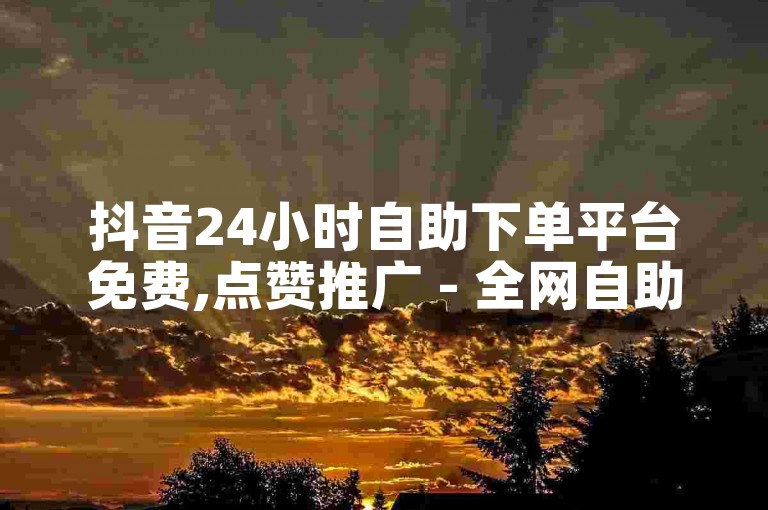 抖音24小时自助下单平台免费,点赞推广 - 全网自助二十四小时下单