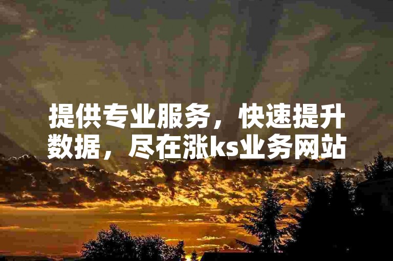 提供专业服务，快速提升数据，尽在涨ks业务网站。