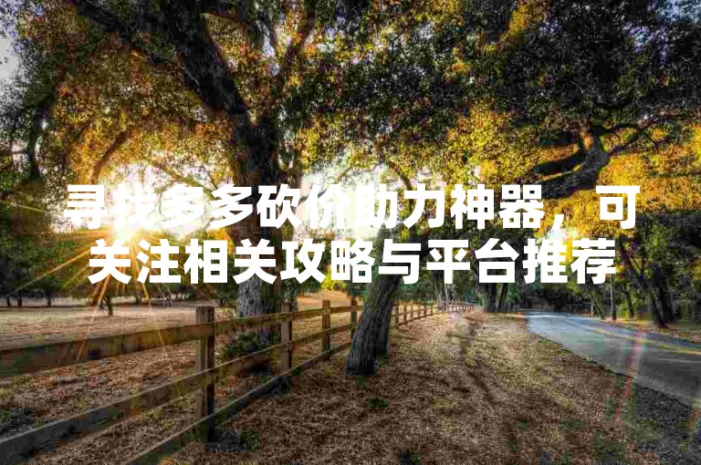 寻找多多砍价助力神器，可关注相关攻略与平台推荐。