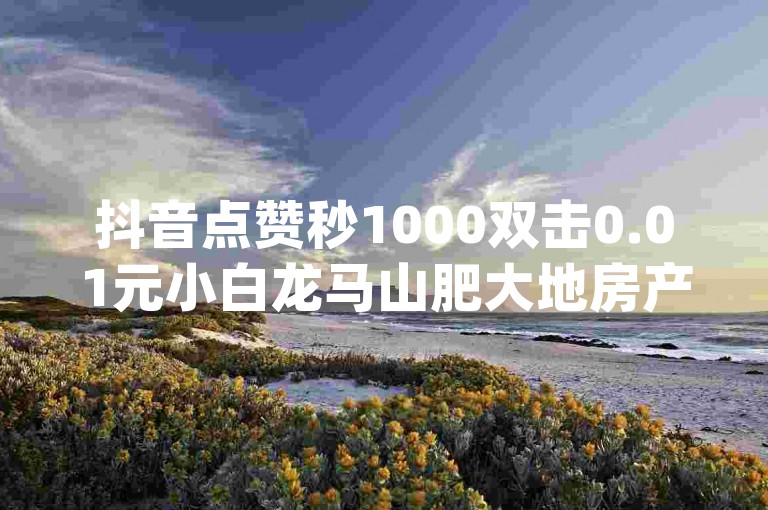 抖音点赞秒1000双击0.01元小白龙马山肥大地房产装修 - dy24小时自动下单平台。