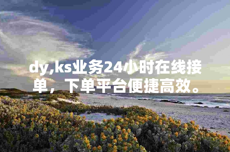 dy,ks业务24小时在线接单，下单平台便捷高效。