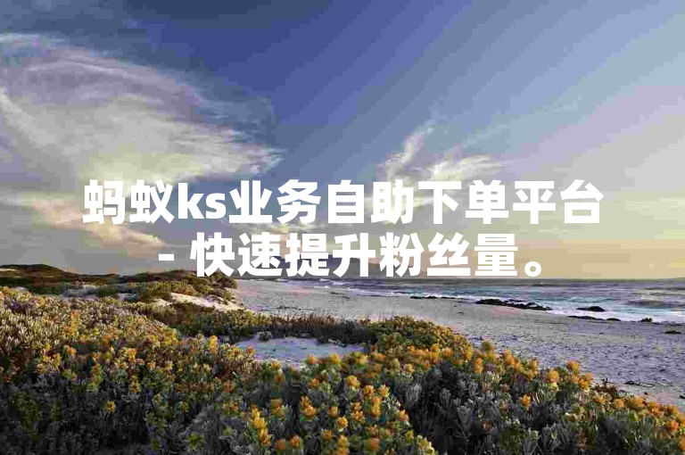 蚂蚁ks业务自助下单平台 - 快速提升粉丝量。