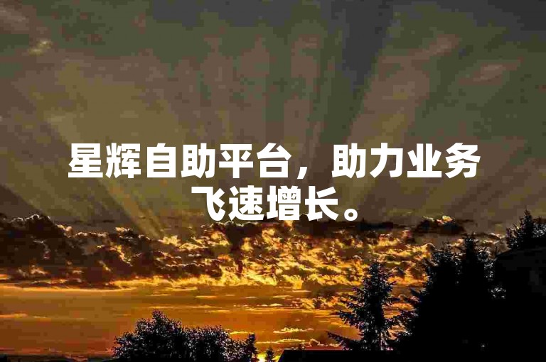 星辉自助平台，助力业务飞速增长。