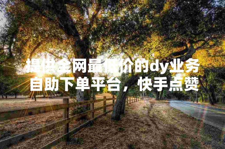 提供全网最低价的dy业务自助下单平台，快手点赞评论轻松搞定。