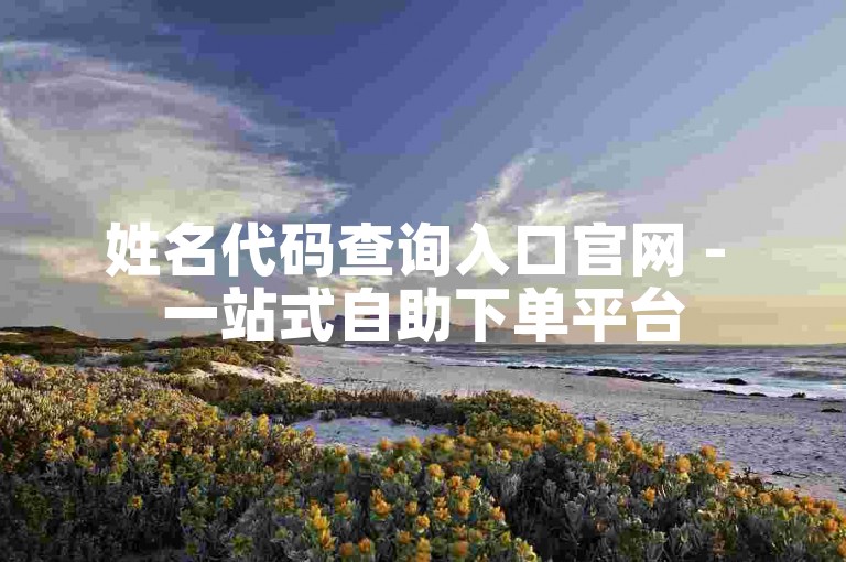 姓名代码查询入口官网 - 一站式自助下单平台
