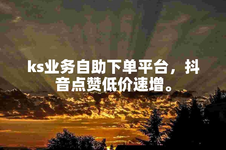 ks业务自助下单平台，抖音点赞低价速增。