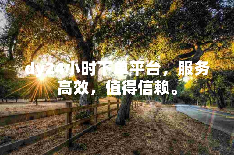 dy24小时下单平台，服务高效，值得信赖。