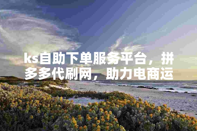 ks自助下单服务平台，拼多多代刷网，助力电商运营。