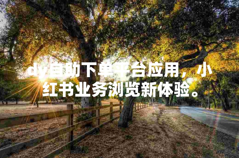 dy自助下单平台应用，小红书业务浏览新体验。