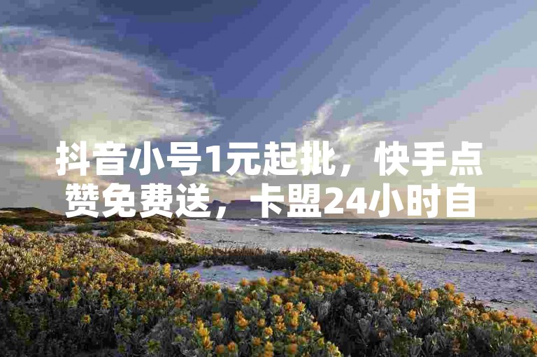 抖音小号1元起批，快手点赞免费送，卡盟24小时自助服务。