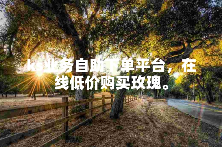 ks业务自助下单平台，在线低价购买玫瑰。