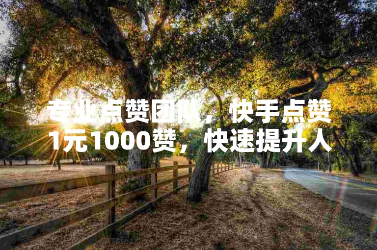 专业点赞团队，快手点赞1元1000赞，快速提升人气。