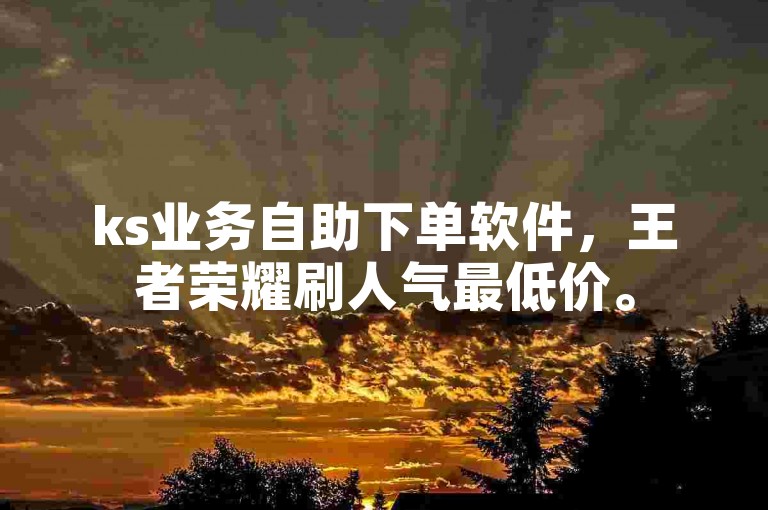 ks业务自助下单软件，王者荣耀刷人气最低价。