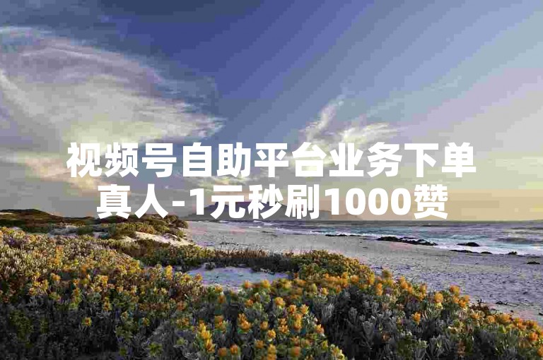 视频号自助平台业务下单真人-1元秒刷1000赞