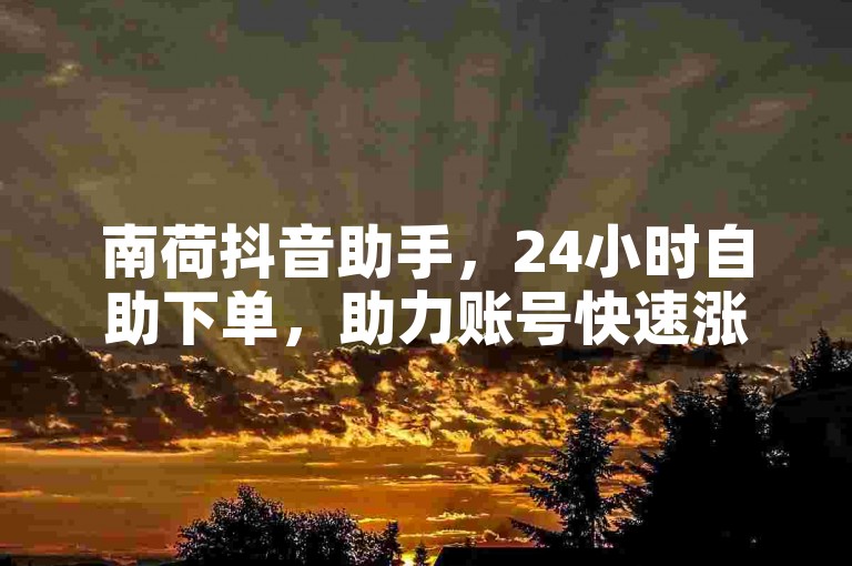 南荷抖音助手，24小时自助下单，助力账号快速涨粉。