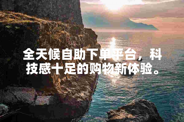 全天候自助下单平台，科技感十足的购物新体验。