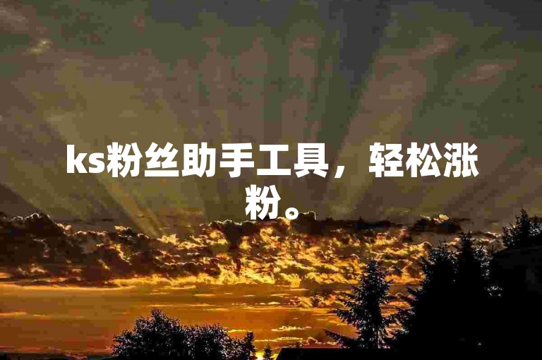 ks粉丝助手工具，轻松涨粉。