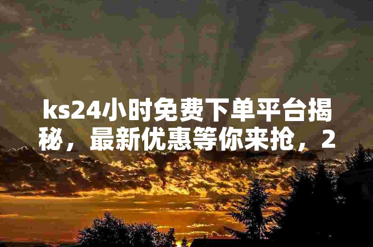 ks24小时免费下单平台揭秘，最新优惠等你来抢，2024不容错过！