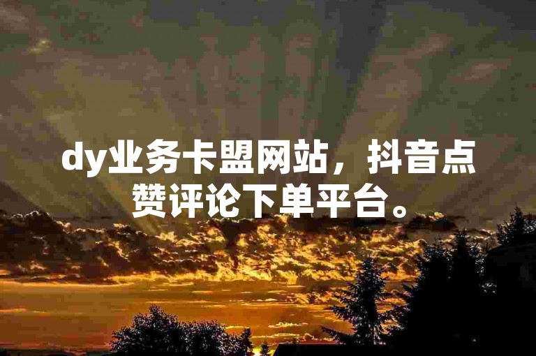 dy业务卡盟网站，抖音点赞评论下单平台。