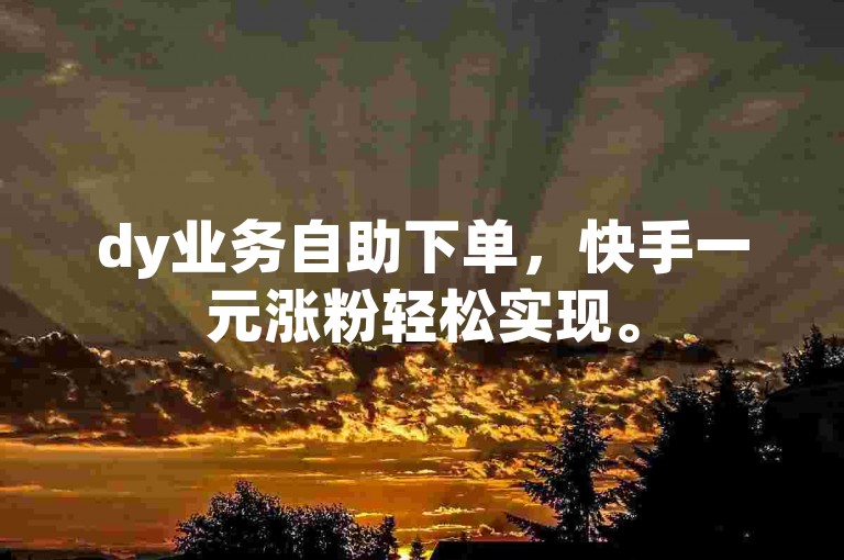 dy业务自助下单，快手一元涨粉轻松实现。