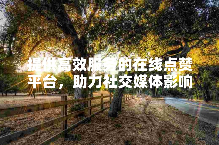 提供高效服务的在线点赞平台，助力社交媒体影响力提升。