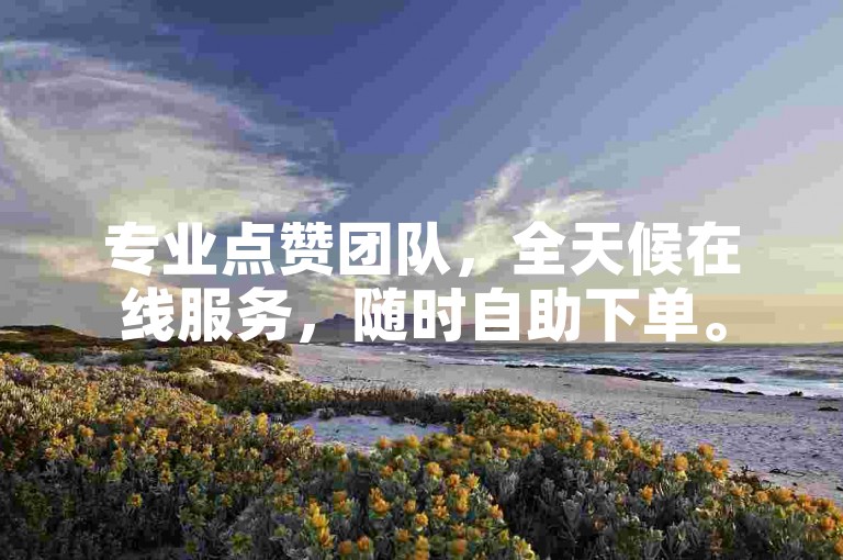 专业点赞团队，全天候在线服务，随时自助下单。