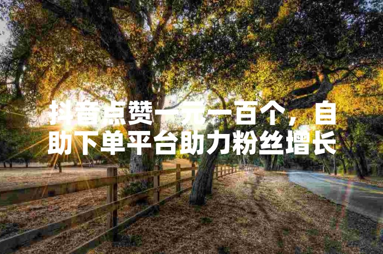 抖音点赞一元一百个，自助下单平台助力粉丝增长。